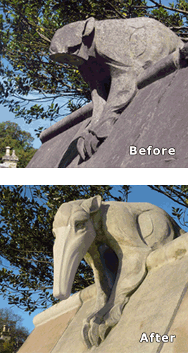 photos_of_anteater_before_and_after_restoration